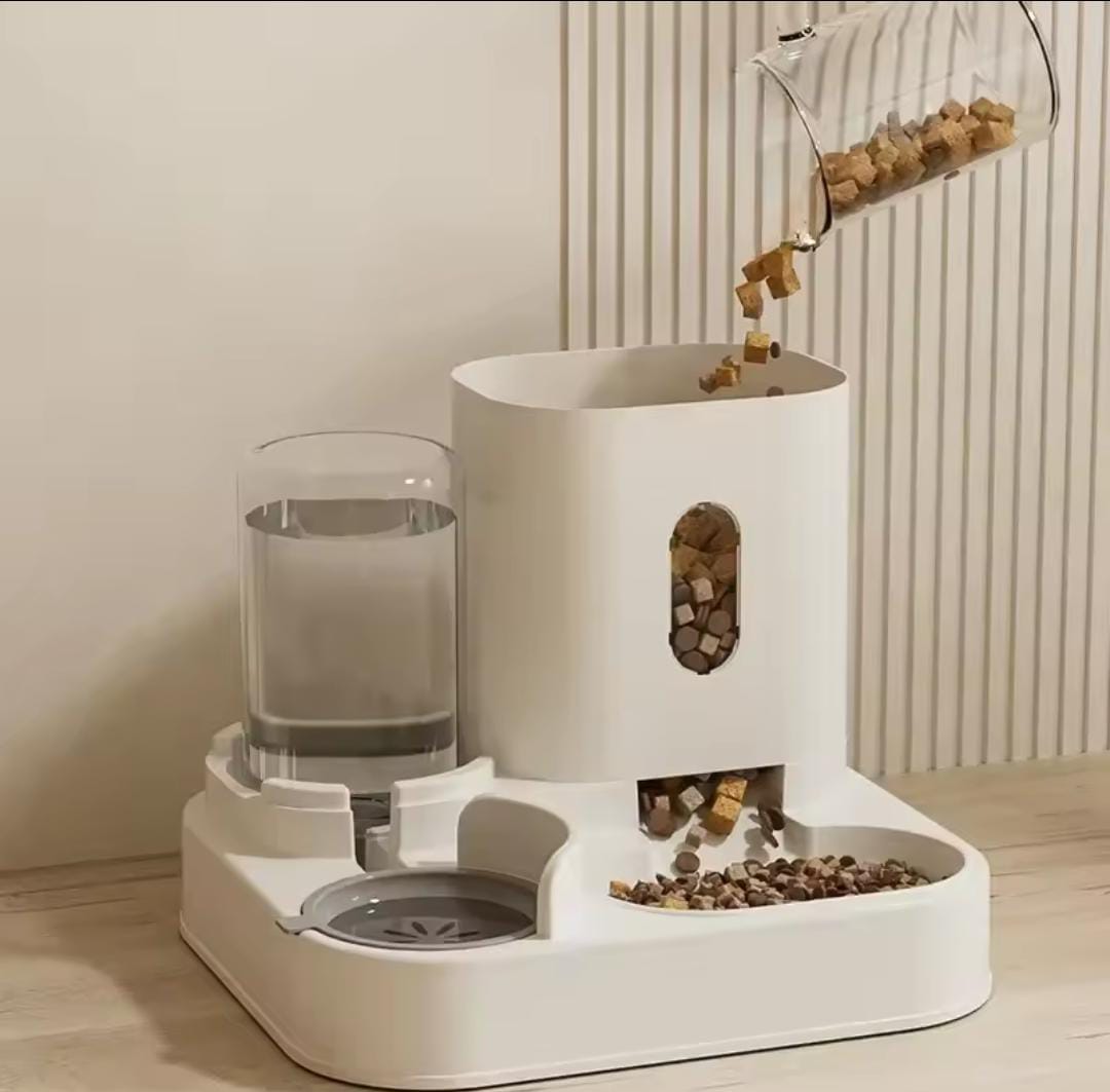 Bol alimentaire pour chat